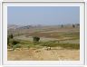 Milet