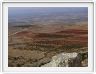 Saint-Siméon  (Qal'at Semaan) (Syrie)