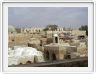 Alep (Syrie)