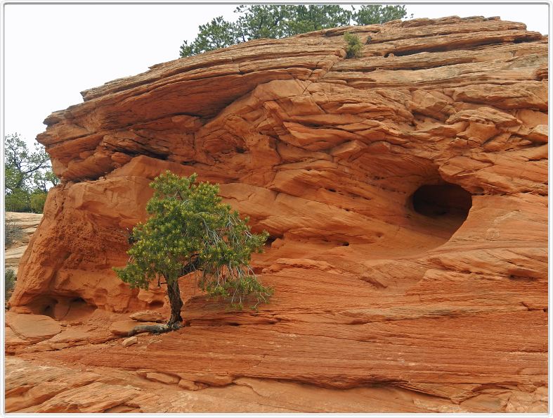 Parc national de Canyonslands (Island in the sky) (Utah).