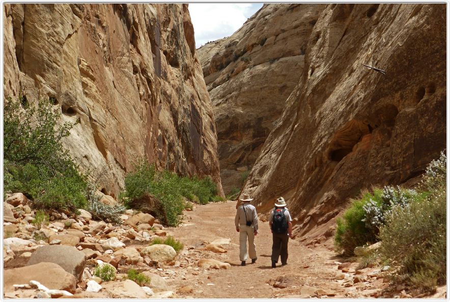 National Park de Capitol Reef (Utah).