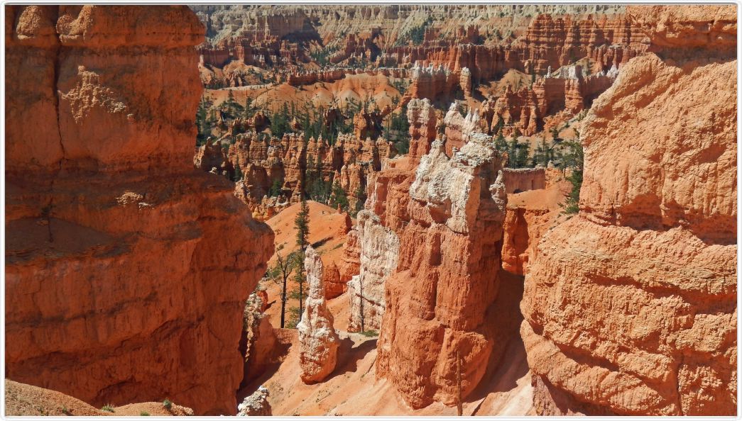 Bryce Canyon (Utah).