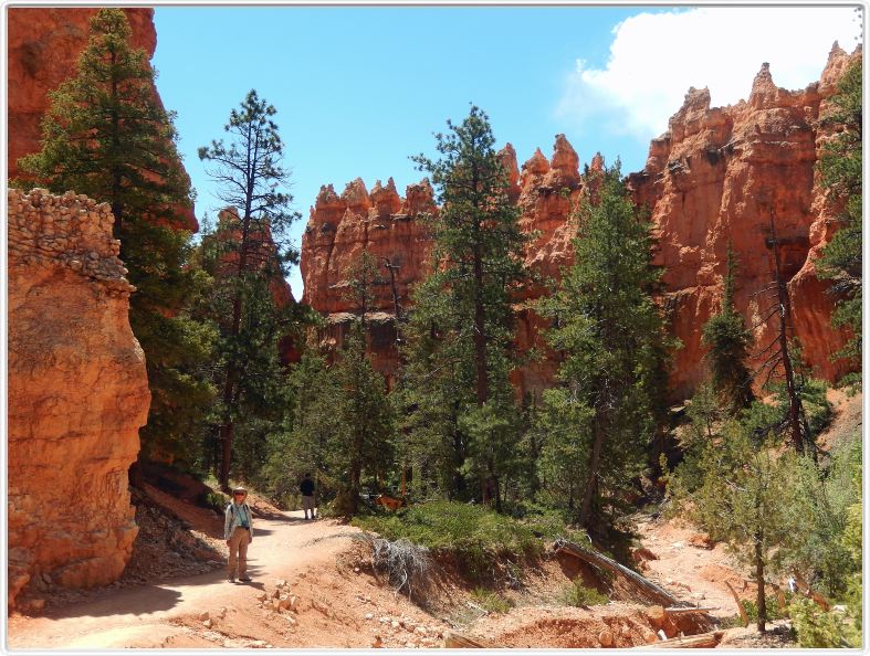 Bryce Canyon (Utah).