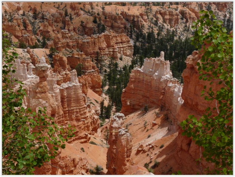 Bryce Canyon (Utah).