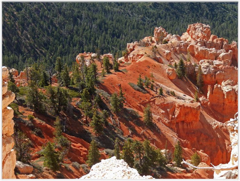Bryce Canyon (Utah).