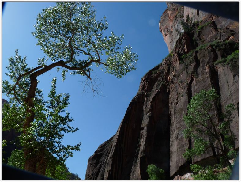 Zion National Park (Utah).