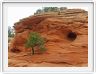 Parc national de Canyonslands (Island in the sky) (Utah).