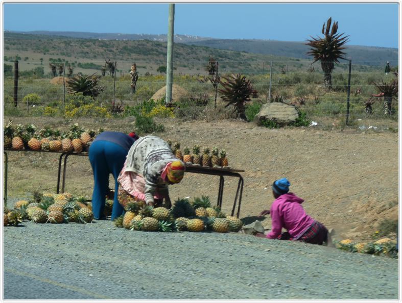 Marché au bord de la route