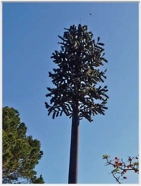Relai téléphonique dans arbre factice