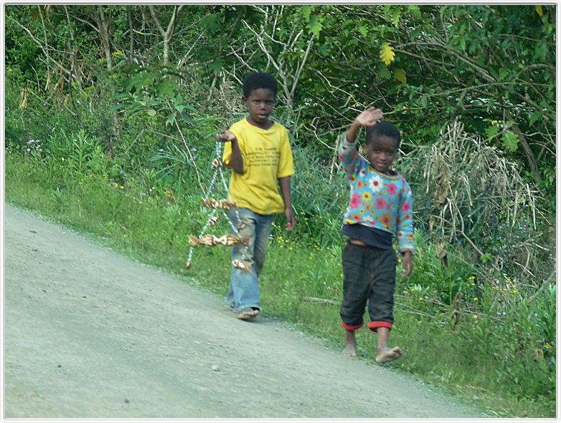Marchands en herbe 