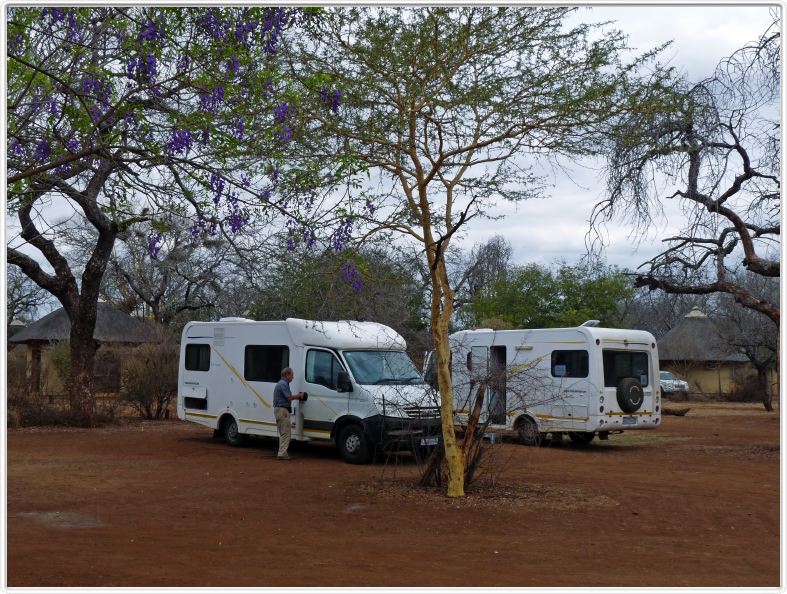 Parc Kruger -  Satara
