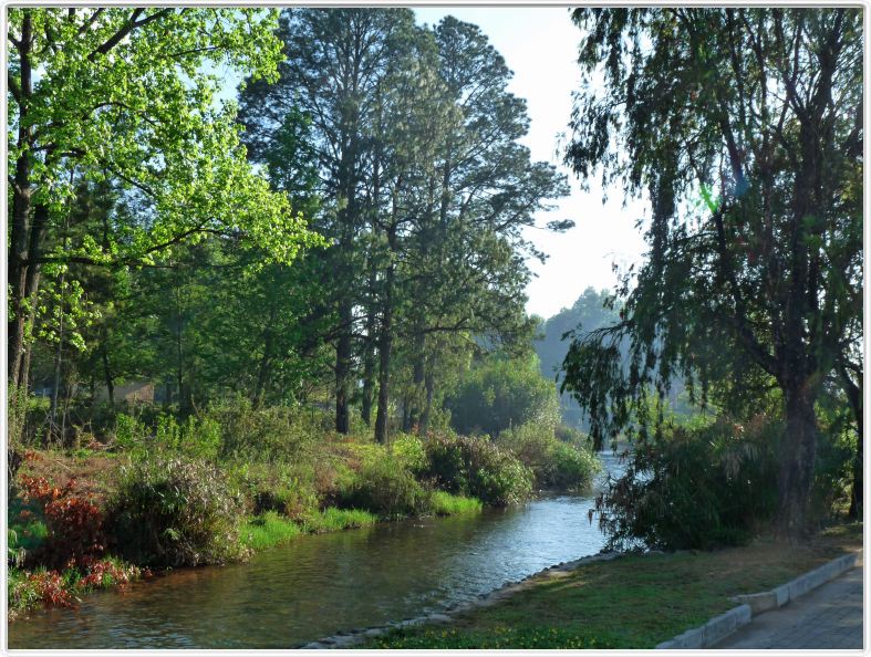 Environs du camping de Sabie