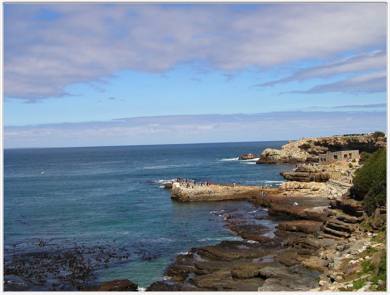 Hermanus : à la découverte des baleines