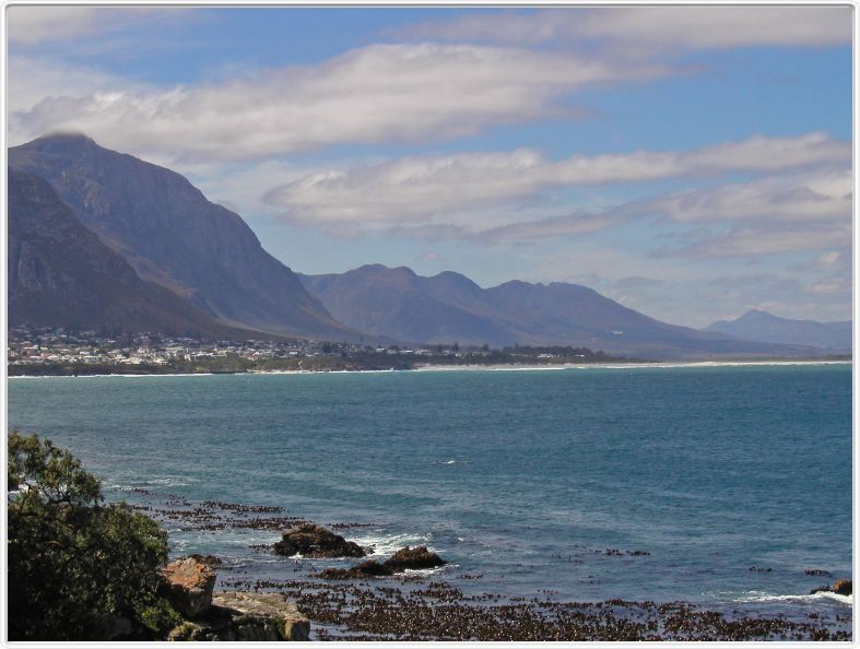 Hermanus : à la découverte des baleines