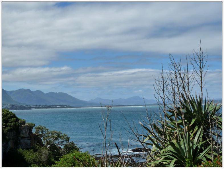 Hermanus