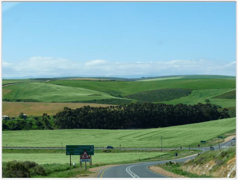 En route pour le Cap Agulhas