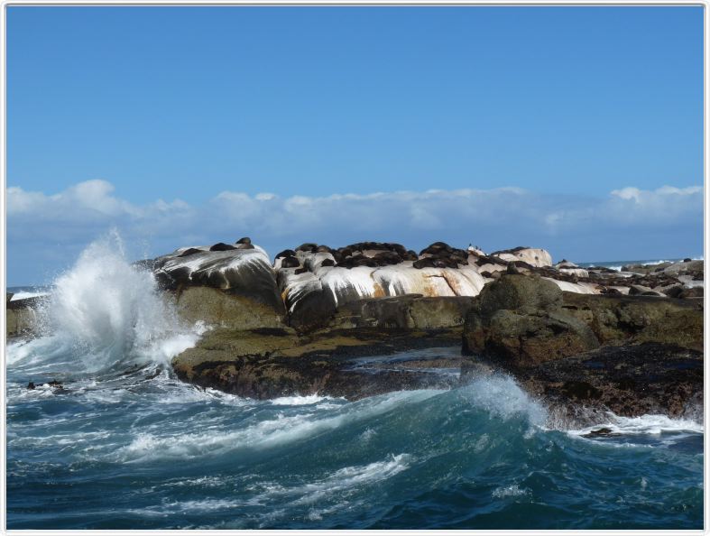 Duiker Island