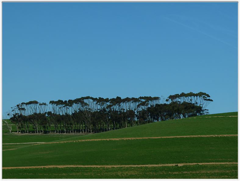 En route pour le Cap Agulhas