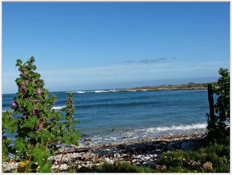 Cap Agulhas : vue depuis le camping