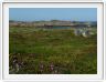 Le Cap Agulhas (Océan indien)