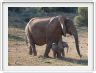 Famille en promenade