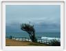 Scottburgh