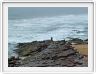 Scottburgh