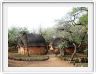 Village de Shakaland