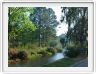 Environs du camping de Sabie