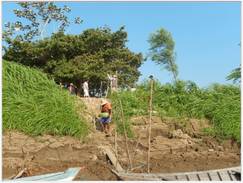 Excursion avec les canots sur des affluents de l'Amazone