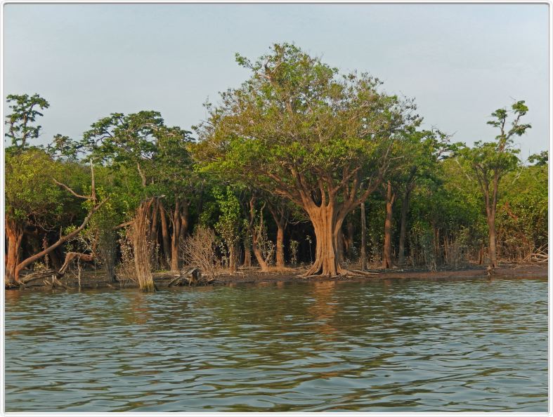 L'excursion matinale sur le Tapajós continue mais avec des barques