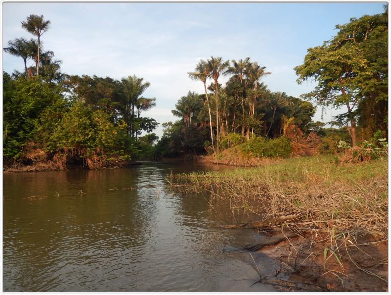 Navigation à l'embouchure du Rio Curuá-Una