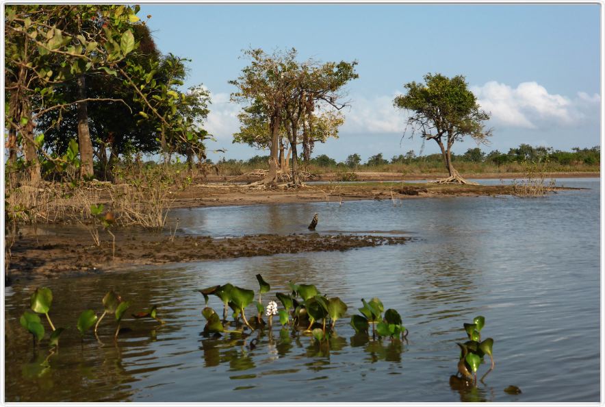 Exploration du Rio Curuá-Una