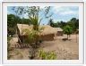 Retour au village de Maguari