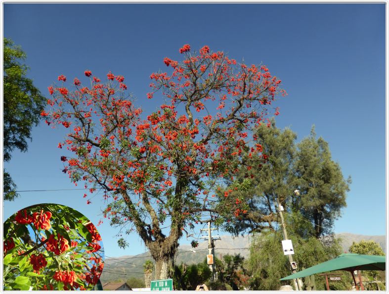 Campo Quijano (Le portail des Andes)