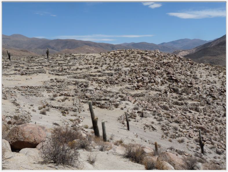 Route menant de Salta à San Antonio de Los Cobres