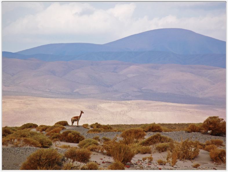 Sur la route menant de San Antonio à Pumamarca