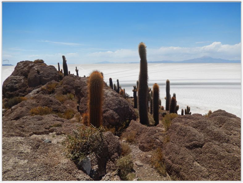 Désert de sel (Salar d'Uyuni)