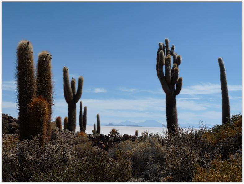 Désert de sel (Salar d'Uyuni)