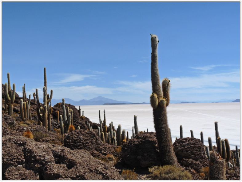 Désert de sel (Salar d'Uyuni)