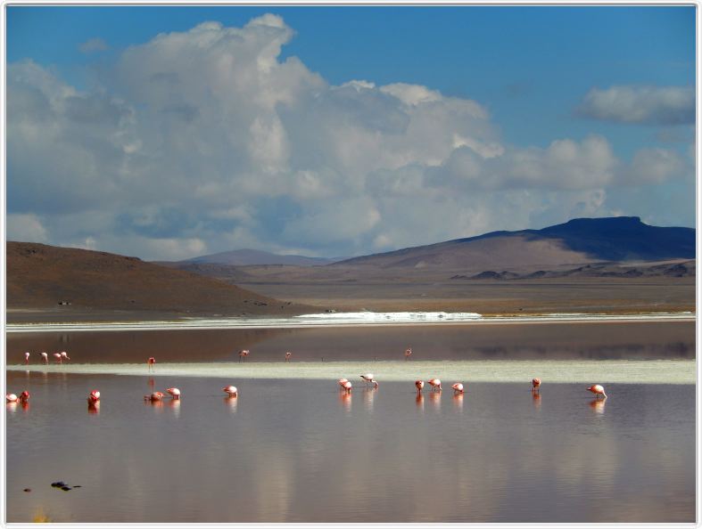 La Laguna colorada