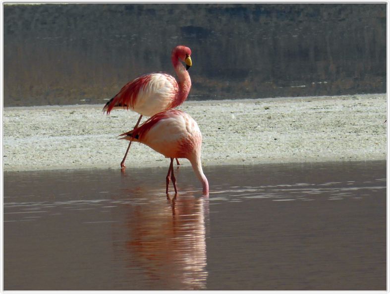La Laguna colorada