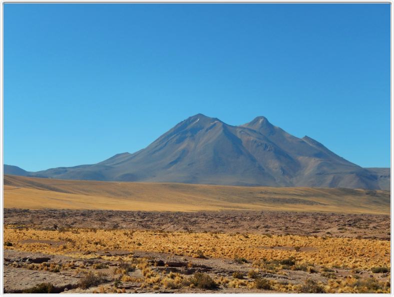 Visite des hauts plateaux du désert d'Atacama