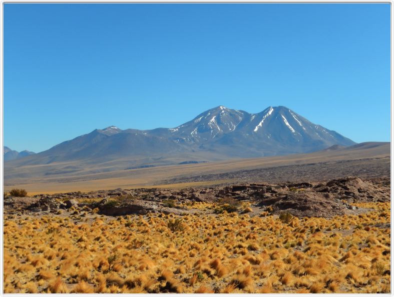 Visite des hauts plateaux du désert d'Atacama