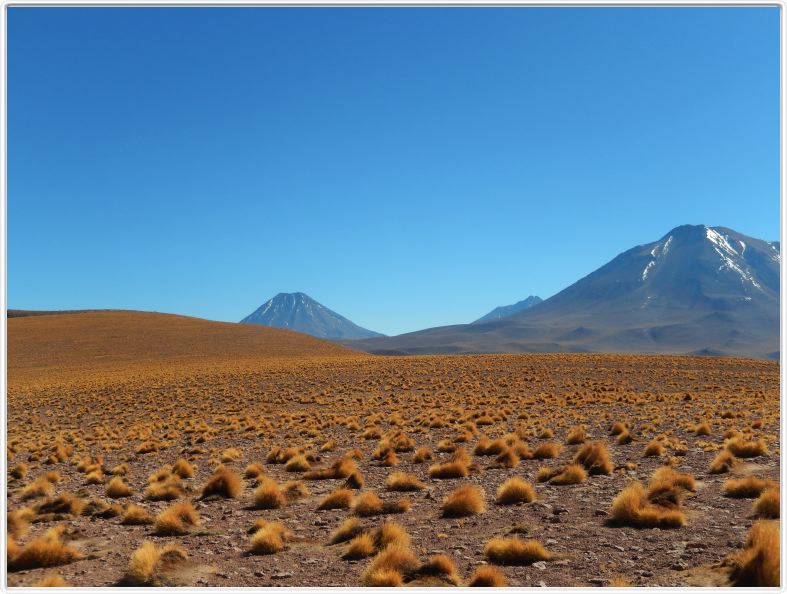 Visite des hauts plateaux du désert d'Atacama