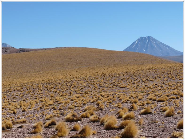 Visite des hauts plateaux du désert d'Atacama