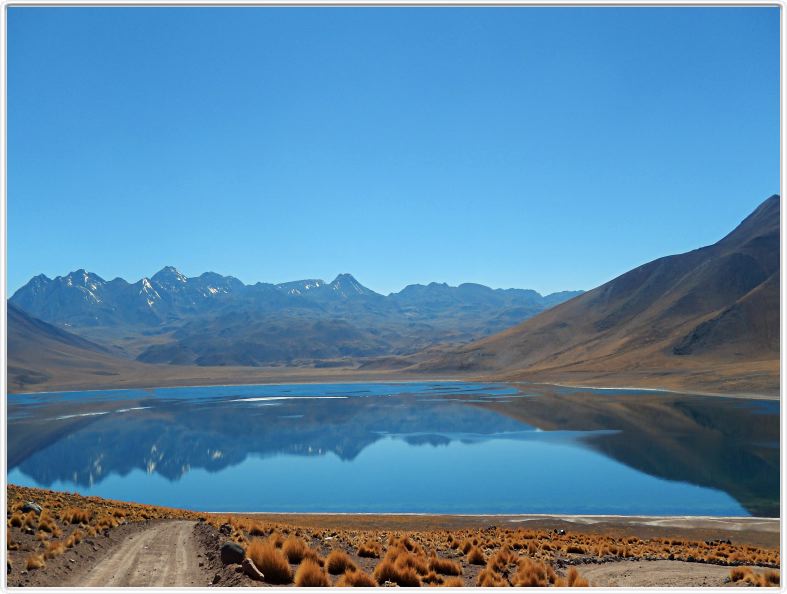 Visite des hauts plateaux du désert d'Atacama