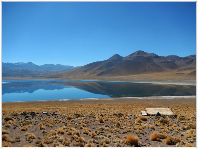 Visite des hauts plateaux du désert d'Atacama