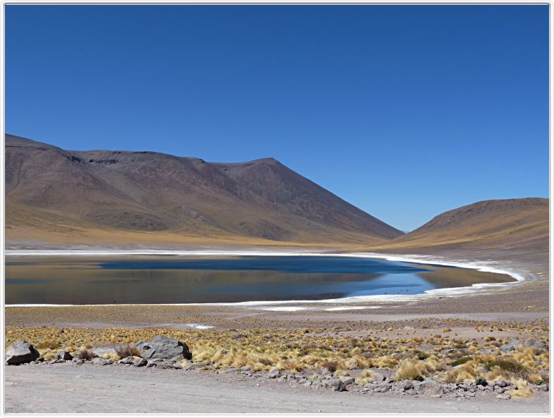 Visite des hauts plateaux du désert d'Atacama