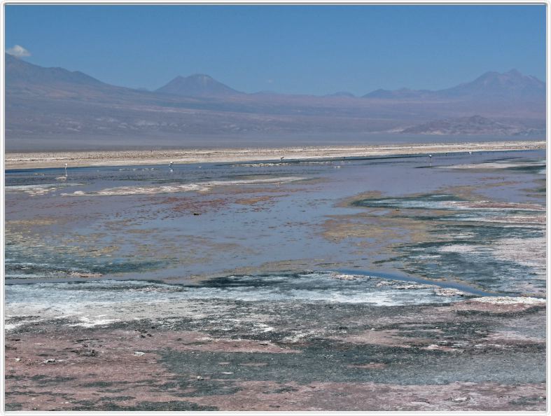 Le Salar d'Atacama